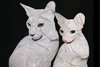 Gatos blancos, 2008