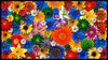 Diversidad floral, convivencia en paz, 2009
