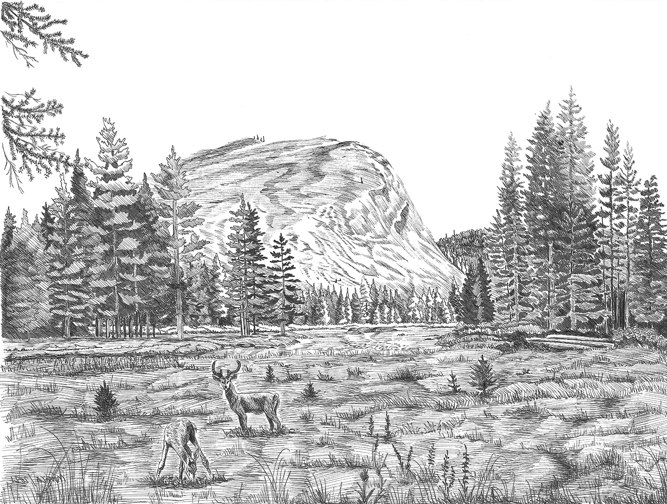 MÓNICA MICHAVILA Yosemite Toulemne